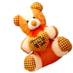 Arihant Online Teddy Bear