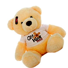 Grabadeal 2 Feet Teddy Bear India