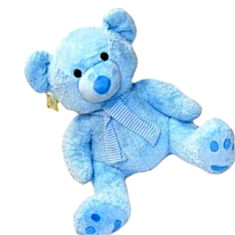 Play N Pets Cute Teddy Bear Gifts India