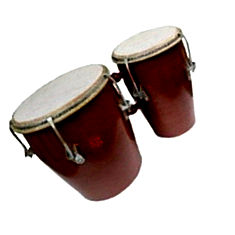 Buy Bongos Online