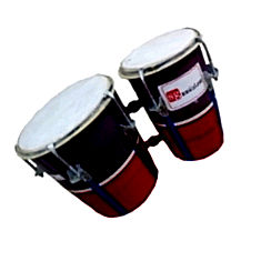 Buy Bongo Online